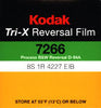 Kodak Tri-X B&W - Tungsten